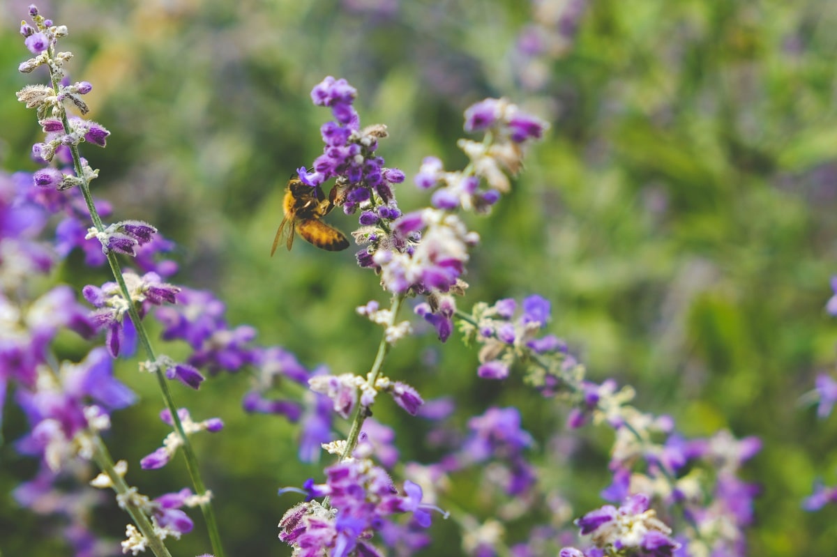 scotty-turner-dVLq8y3NgY4-unsplash